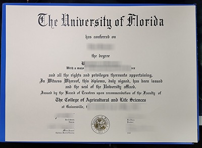 Fake University of Florida Diploma