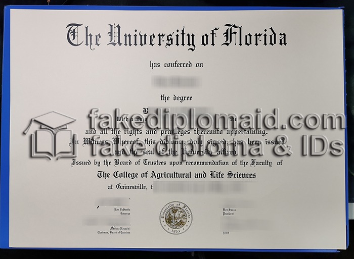 Fake University of Florida Diploma