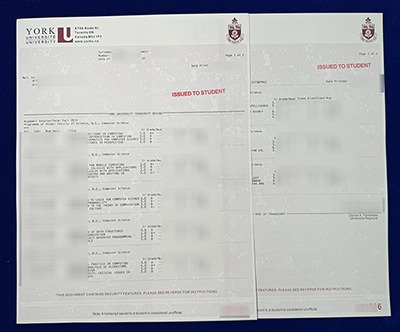 york university Transcript