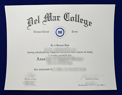 Fake DMC Diploma