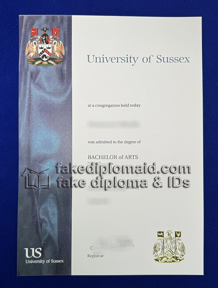 University of Sussex Degree