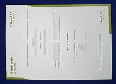THUAS Diploma