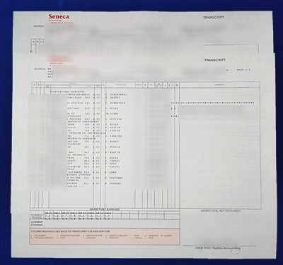 Seneca Polytechnic Transcript