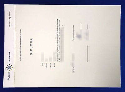 Tilburg University Diploma