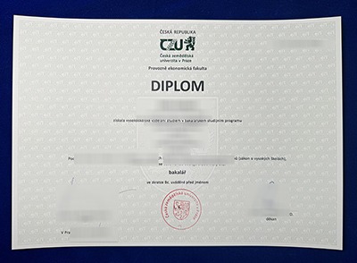 CZU Diploma